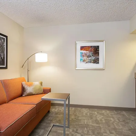 Hampton Inn Houston Near The Galleria Exterior photo