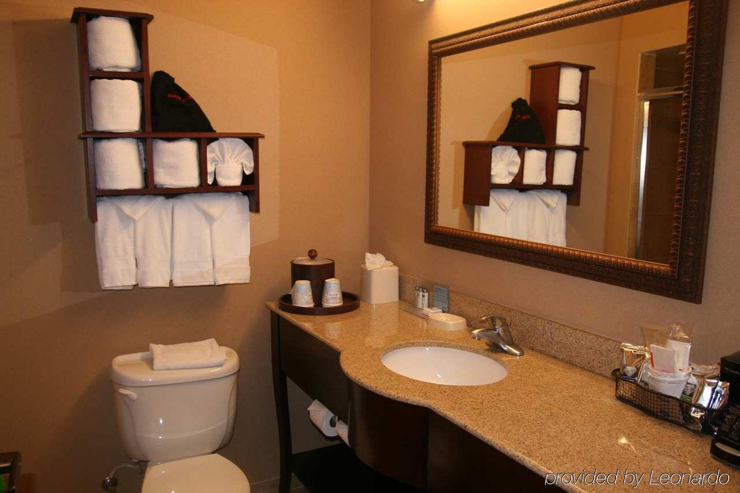 Hampton Near The Galleria Hotel Houston