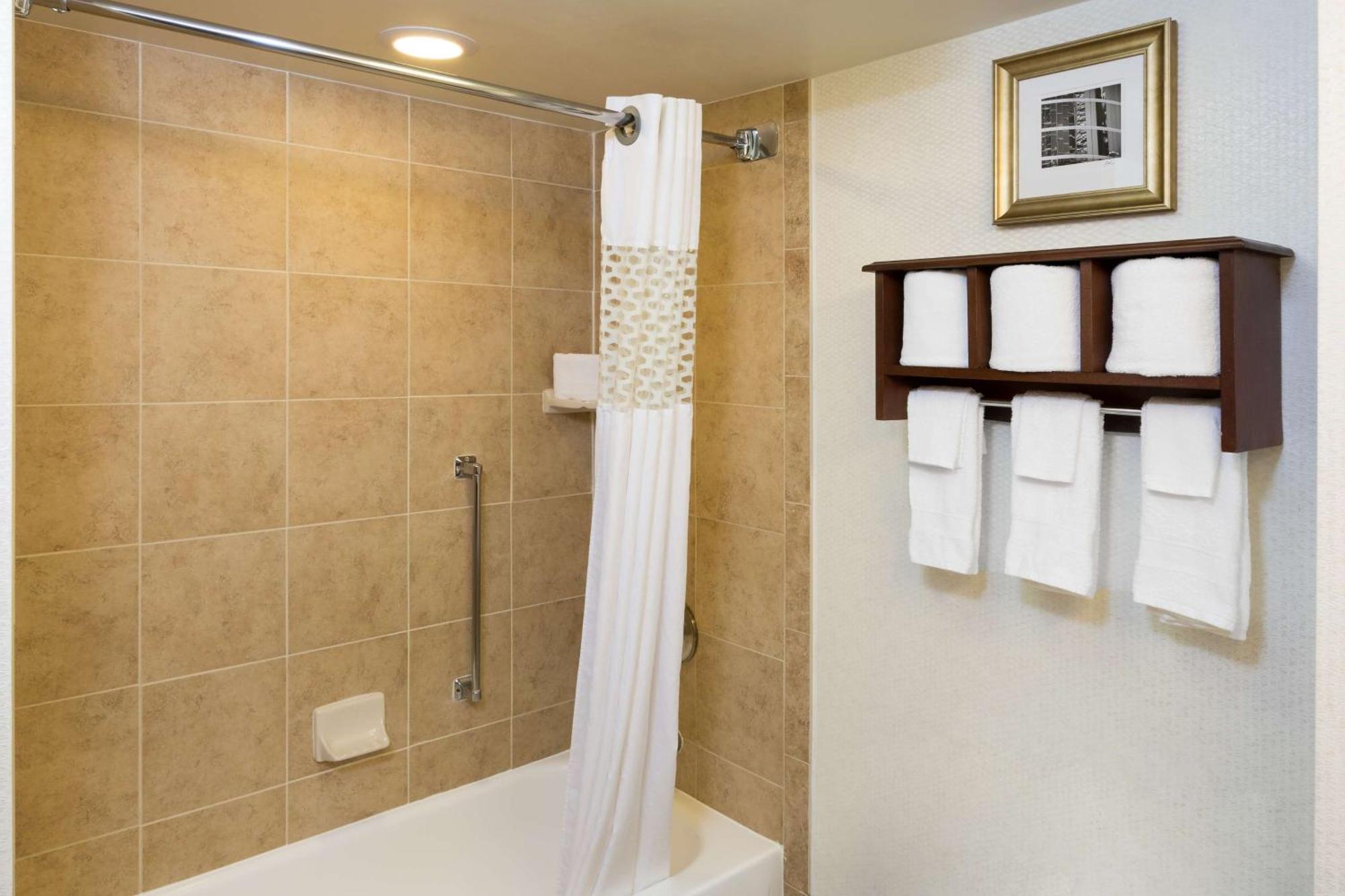 Hotel Hampton Near The Galleria Houston