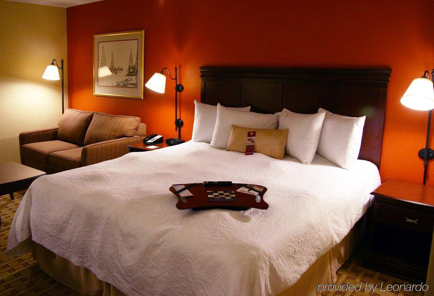 Hampton Near The Galleria Hotel Houston