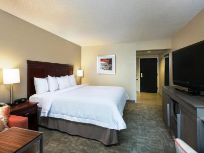 Hampton Near The Galleria Hotel Houston