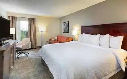 Hampton Near The Galleria 4*
